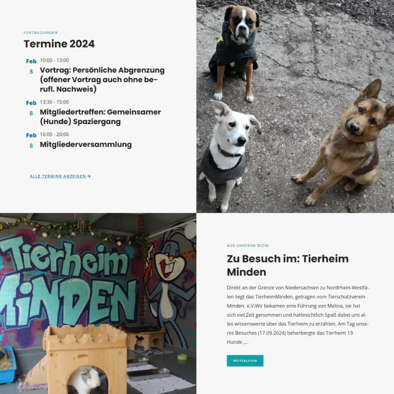 Screenshot Referenz Hundeunternehmen Verband für Heim- und Pensionstierpflege